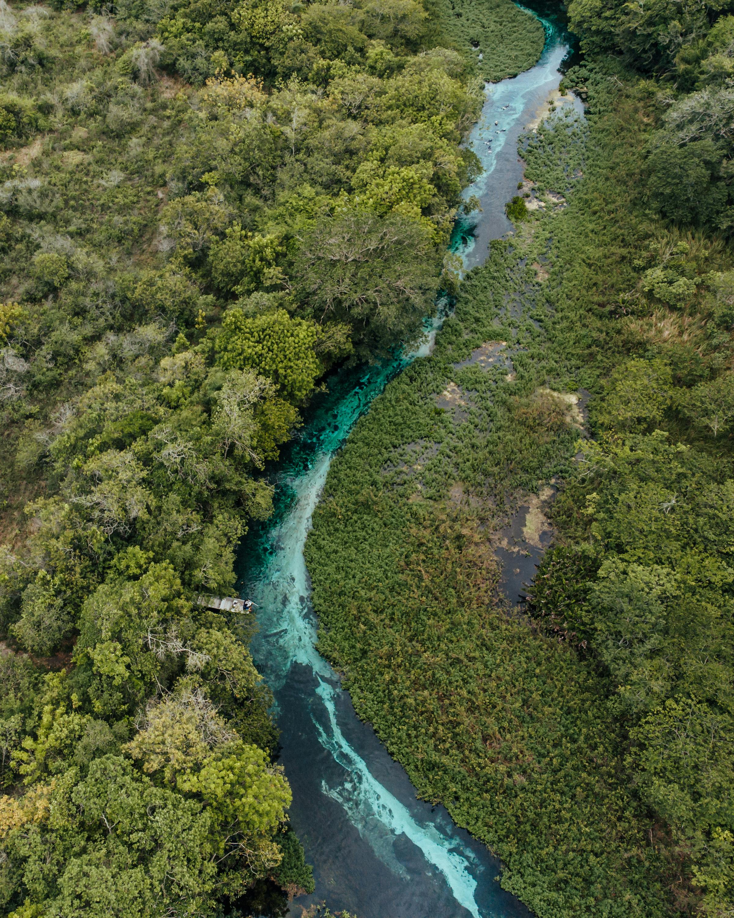 Bonito crystal river