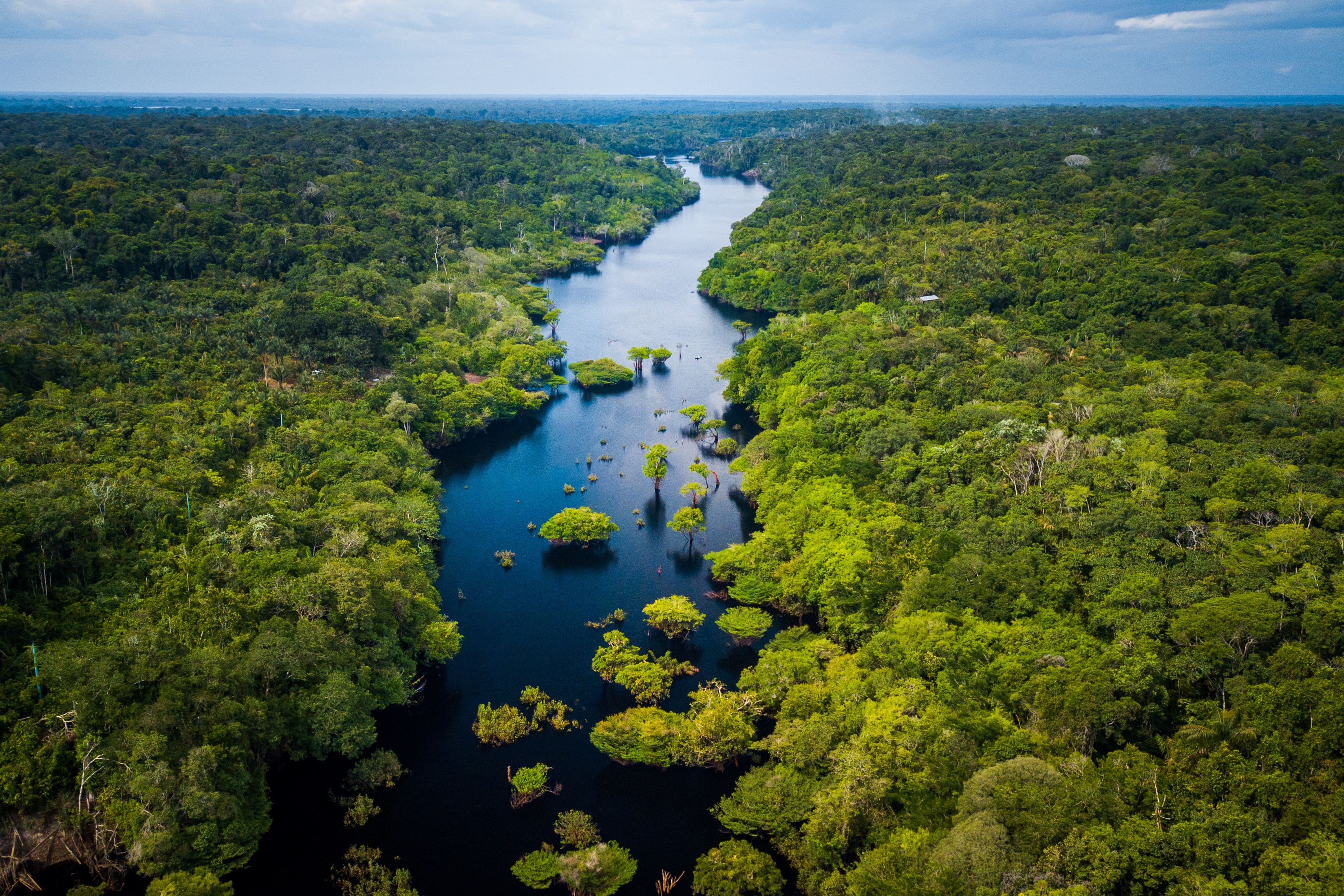 Amazon river landscape